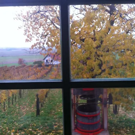 Bed & Breakfast Kolonics Pinceszet Vendeghaz Somlo *
