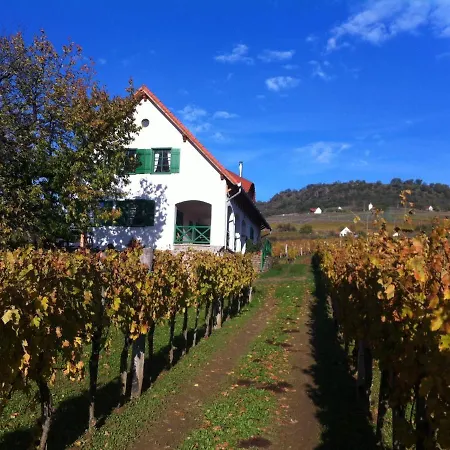 Kolonics Pinceszet Vendeghaz Somlo 住宿加早餐酒店 3*