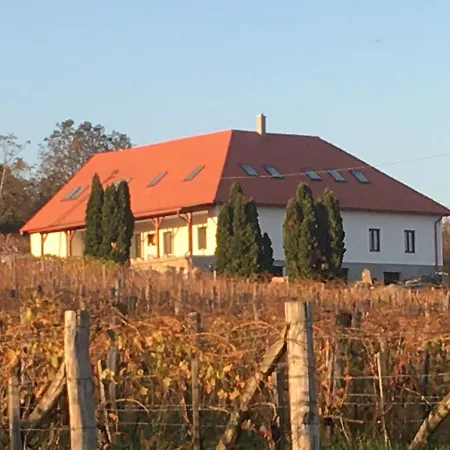 Kolonics Pinceszet Vendeghaz Somlo 住宿加早餐酒店 Somlovasarhely