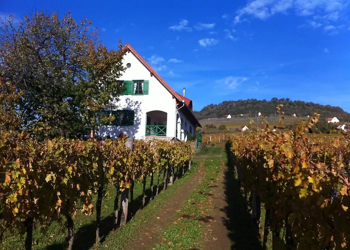 Kolonics Pinceszet Vendeghaz Somlo Bed & Breakfast *