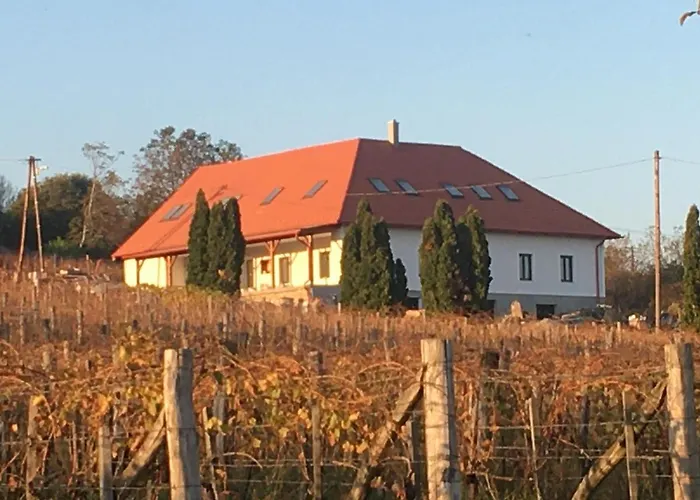 Kolonics Pinceszet Vendeghaz Somlo Bed & Breakfast Somlovasarhely
